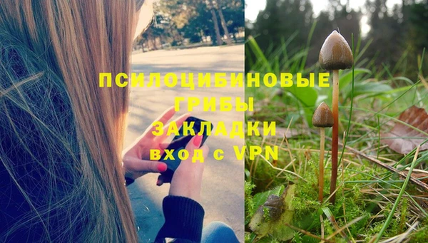 ALPHA PVP Абаза