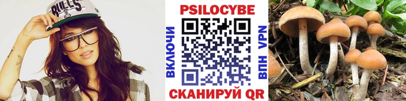 Галлюциногенные грибы Psilocybine cubensis omg маркетплейс Рыльск