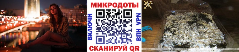 Галлюциногенные грибы Psilocybe Рыльск
